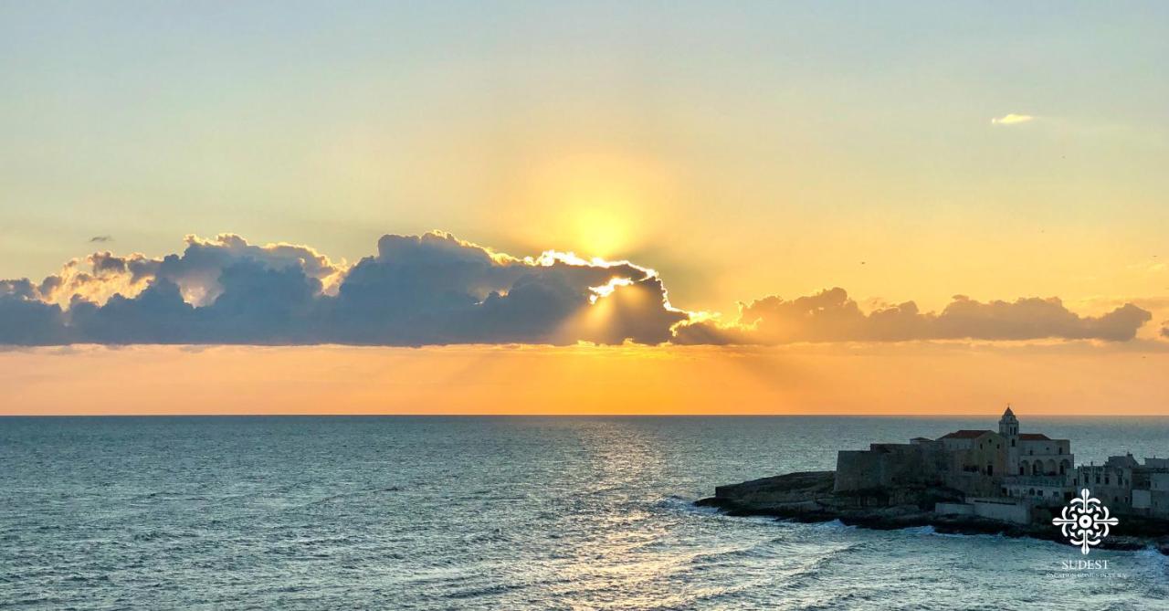 Infinito - Attico Sul Mare Lägenhet Vieste Exteriör bild